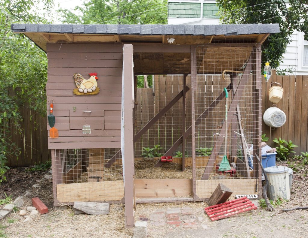 A backyard chicken coop with green leaves in the background and various tools on the ground.