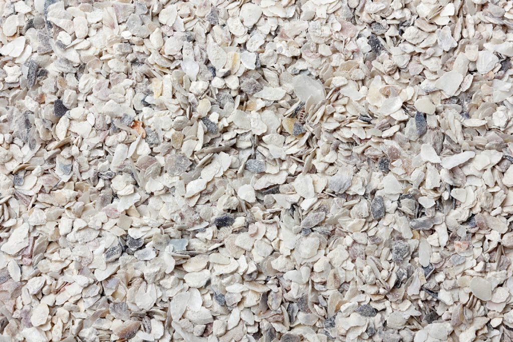Crushed oyster shells